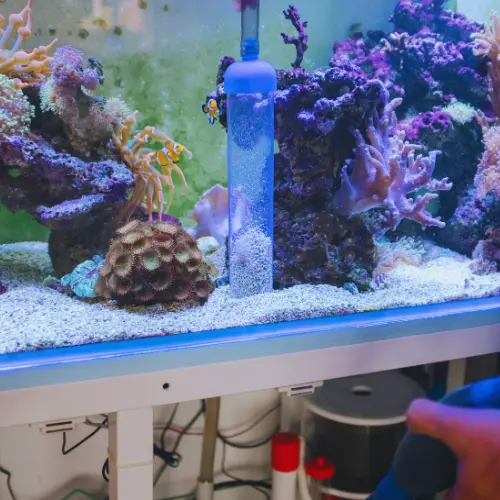 aquarium 35.2 gallons